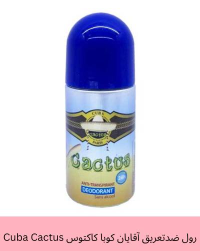مام رول کوبا کاکتوس آبی