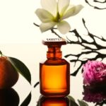 مقالات آرایشی و زیبایی بهترین عطرهای پاییزی؛ از رایحههای چوبی تا نتهای ادویهای