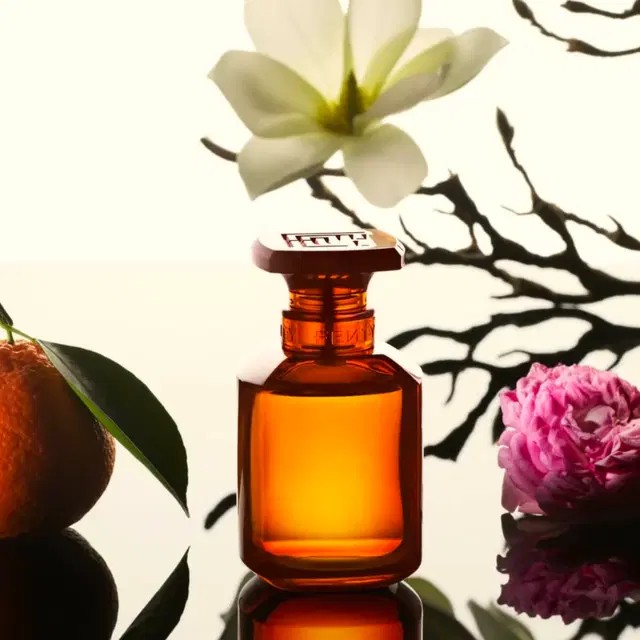 بهترین عطرهای پاییزی؛ از رایحههای چوبی تا نتهای ادویهای بهترین عطرهای پاییزی؛ از رایحههای چوبی تا نتهای ادویهای