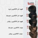 رنگ مدیا کاکائویی